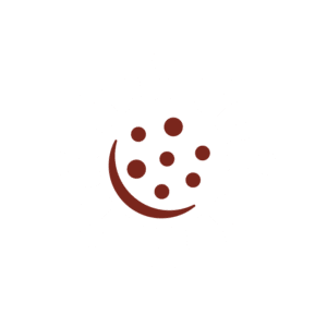 Emergenza coronavirus - Sanificazione scarpe con trattamento all'ozono contro funghi, muffe, virus e batteri